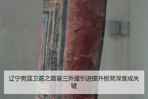 辽宁男篮卫冕之路第三外援引进提升板凳深度成关键